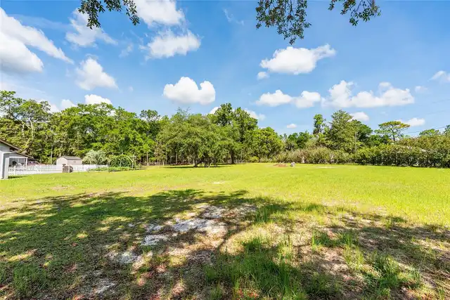 Listing Photo 81