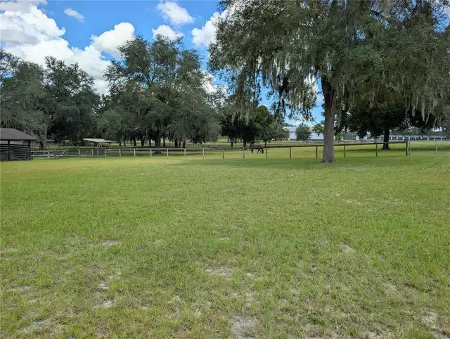 Listing Photo 96