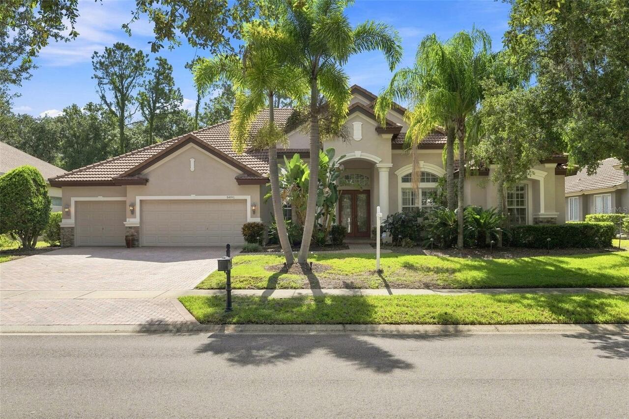 Palm Harbor Real Estate