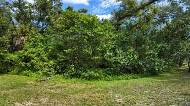 Listing Photo 31