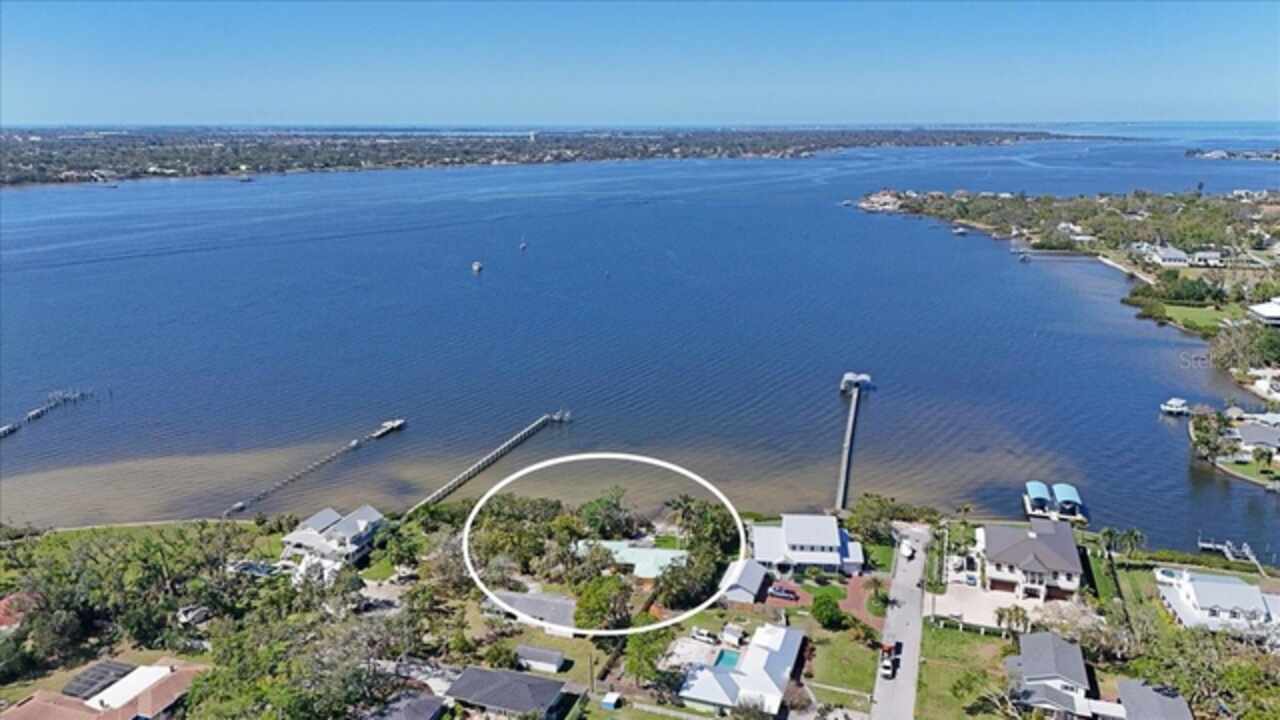 Palmetto Real Estate