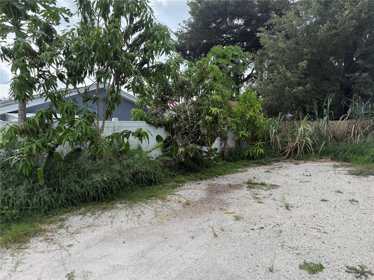 Listing Photo 34