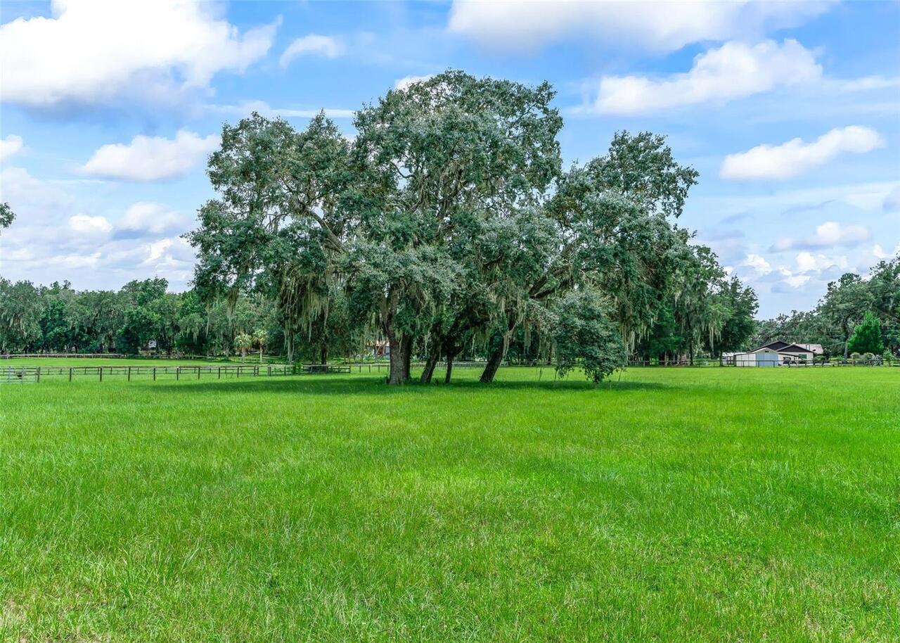 Listing Photo 79