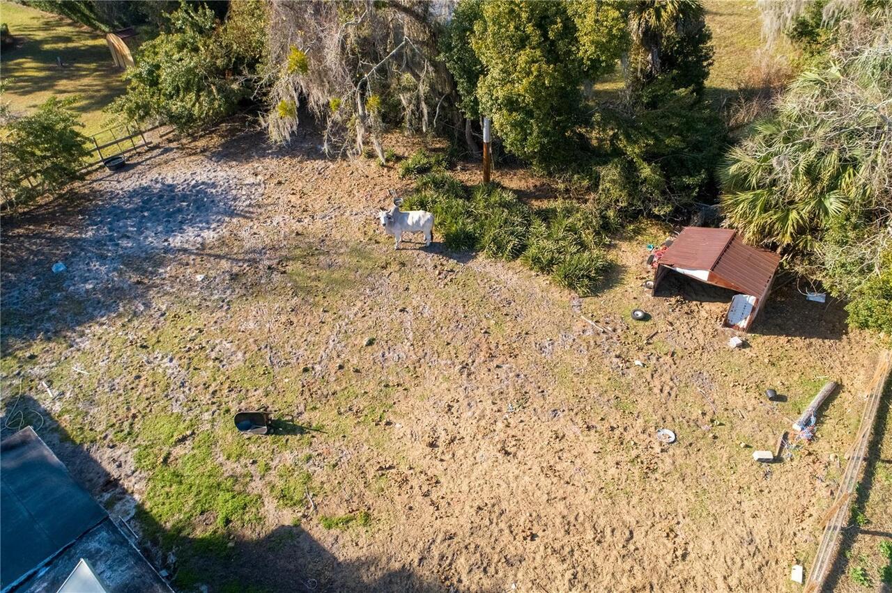 Listing Photo 19