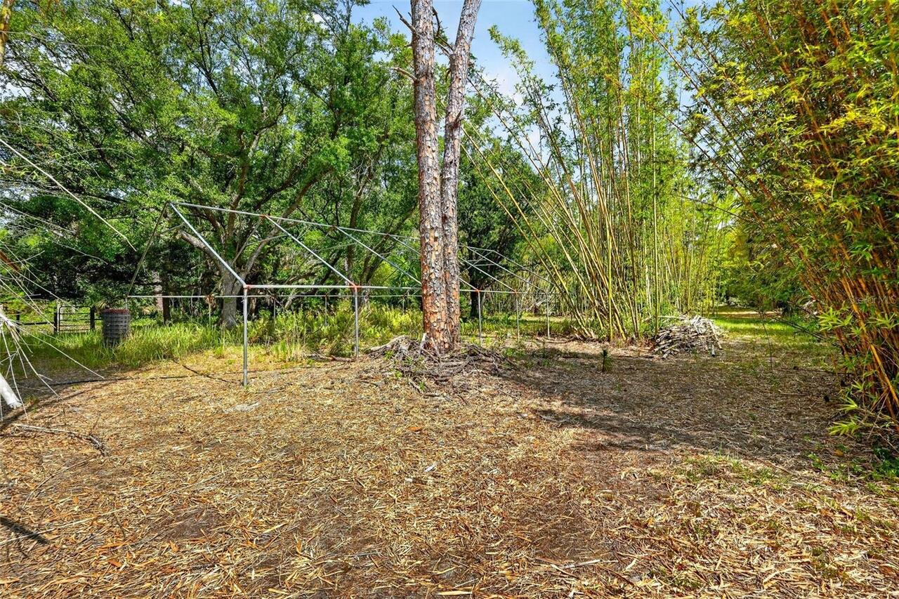Listing Photo 43