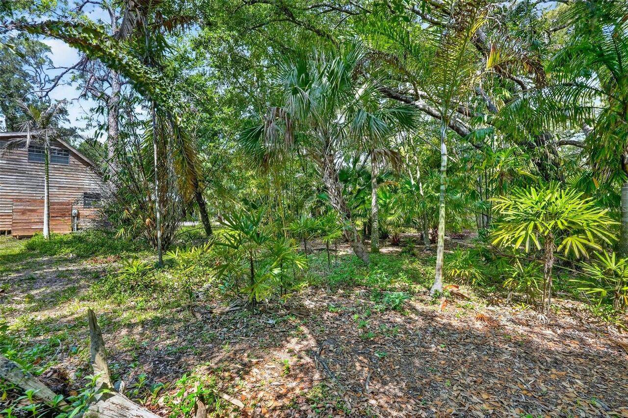 Listing Photo 45