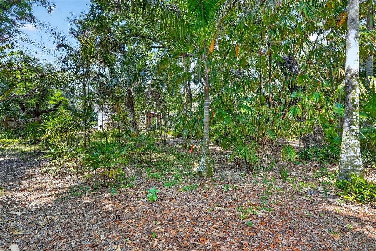 Listing Photo 46