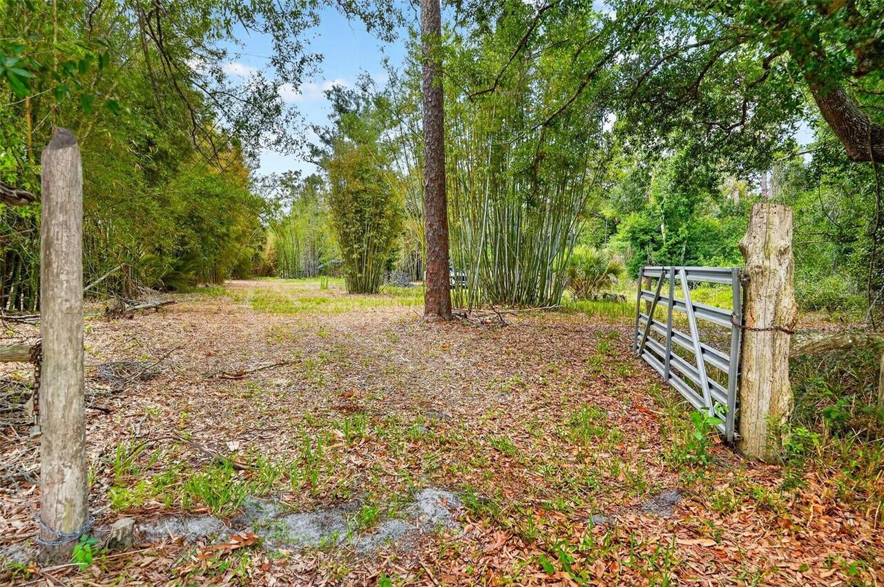 Listing Photo 55