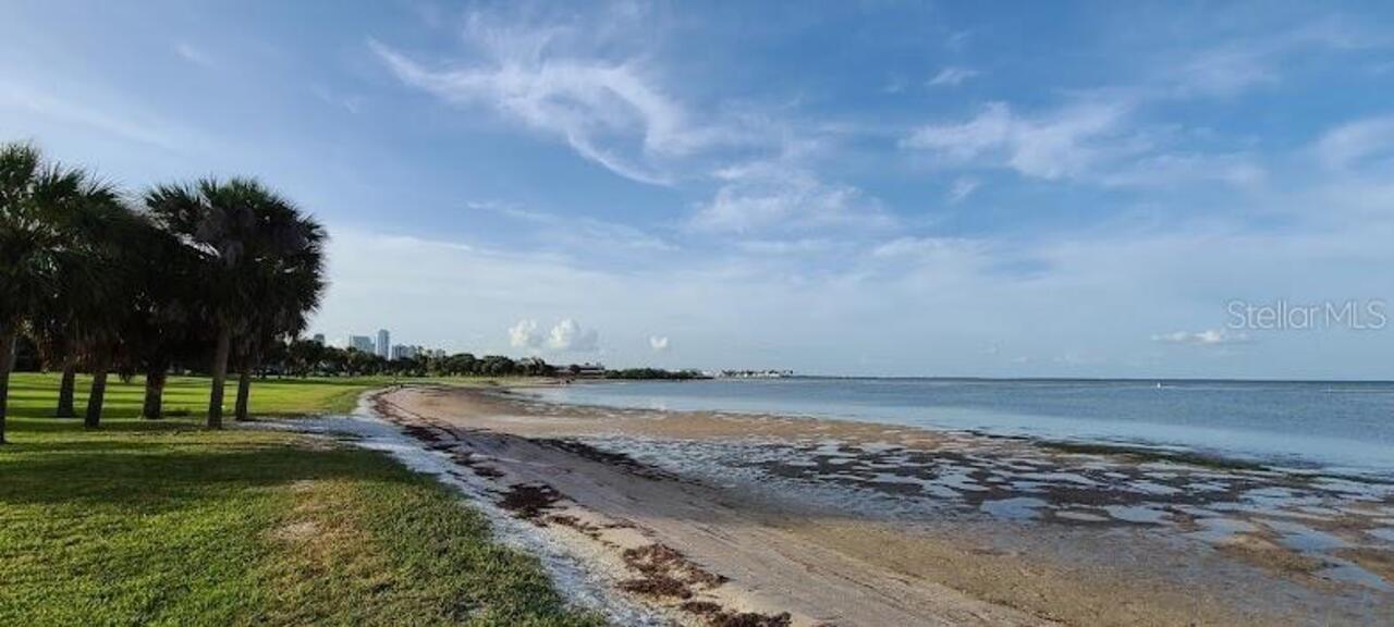 Listing Photo 63