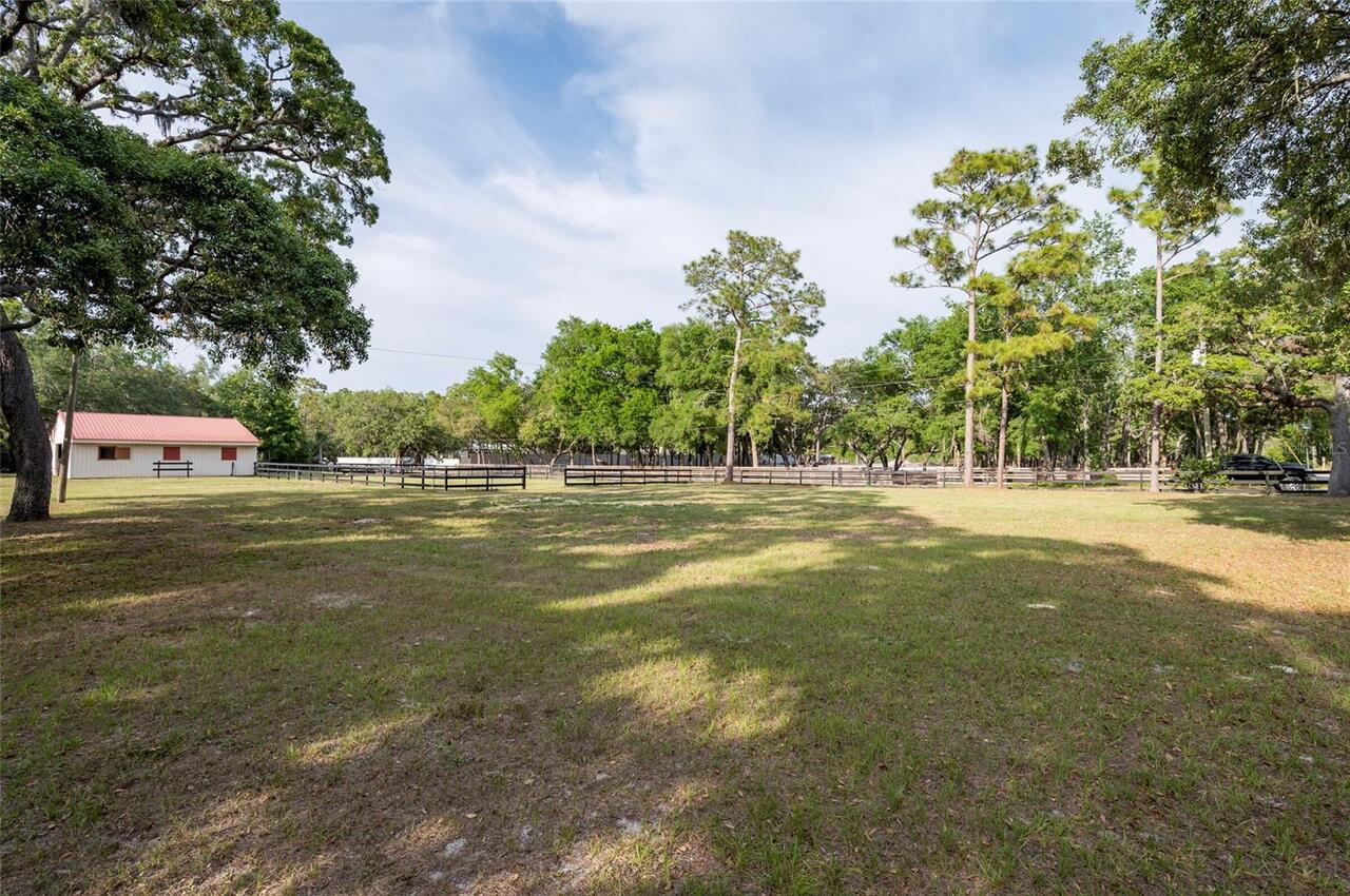 Listing Photo 33