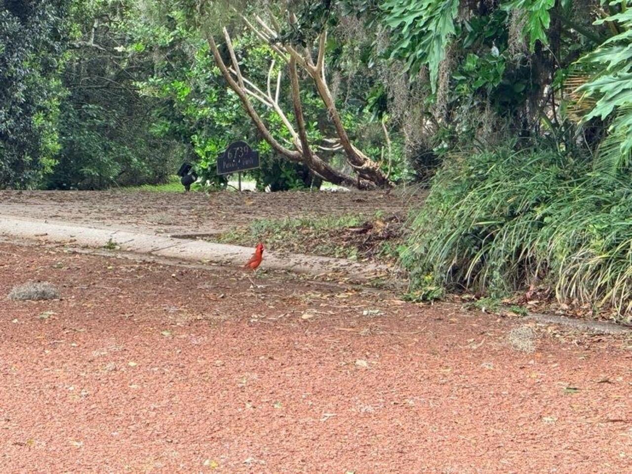 Listing Photo 53