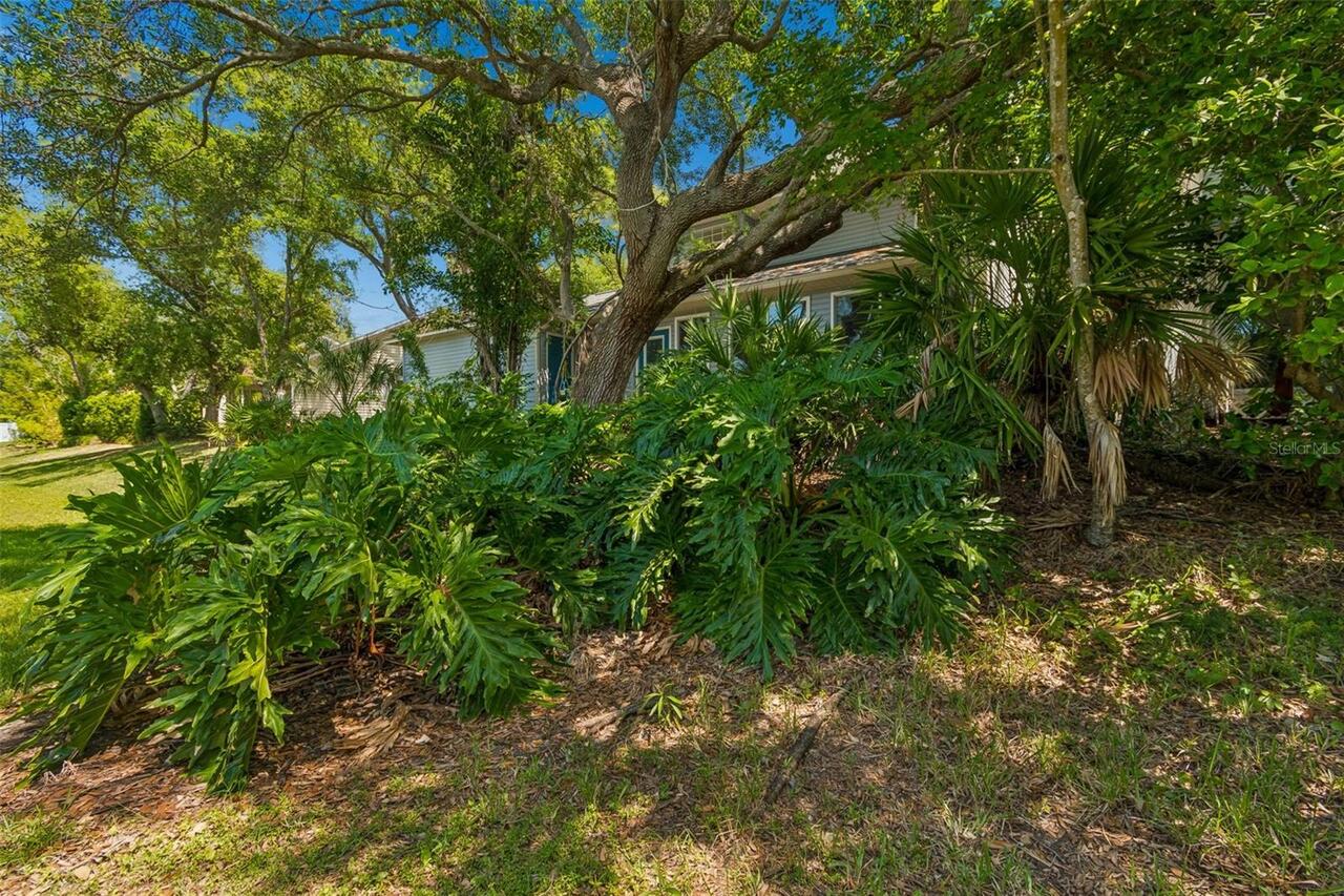 Listing Photo 31