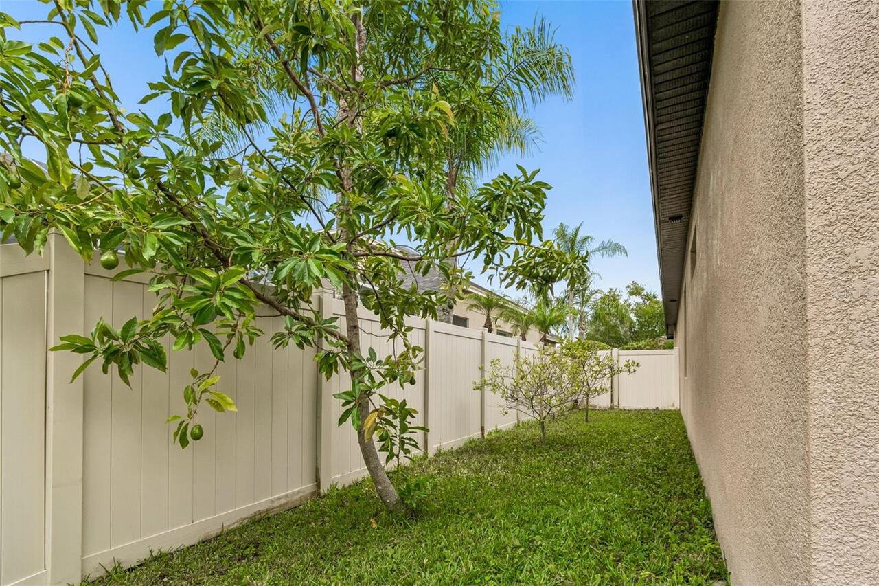 Listing Photo 41