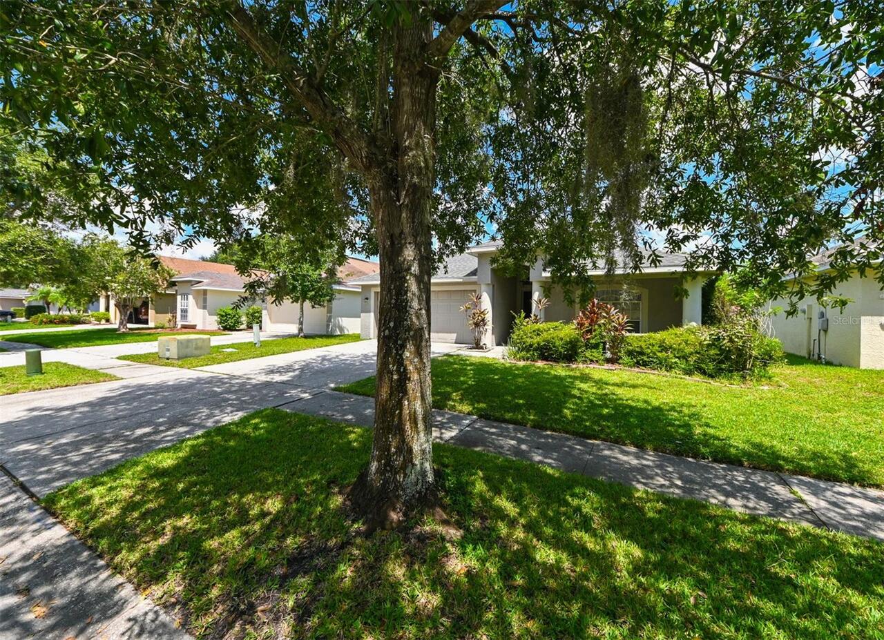 Listing Photo 42