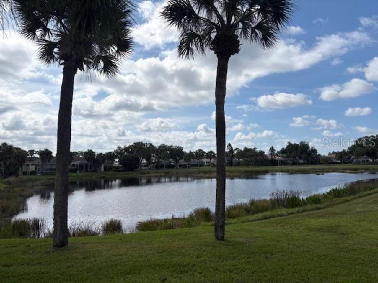 Sarasota Real Estate