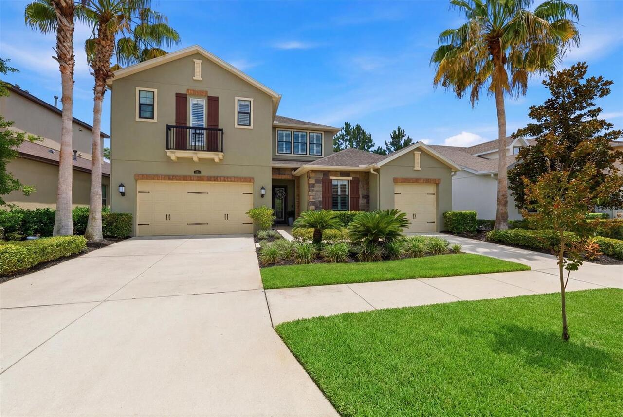 Tampa Real Estate