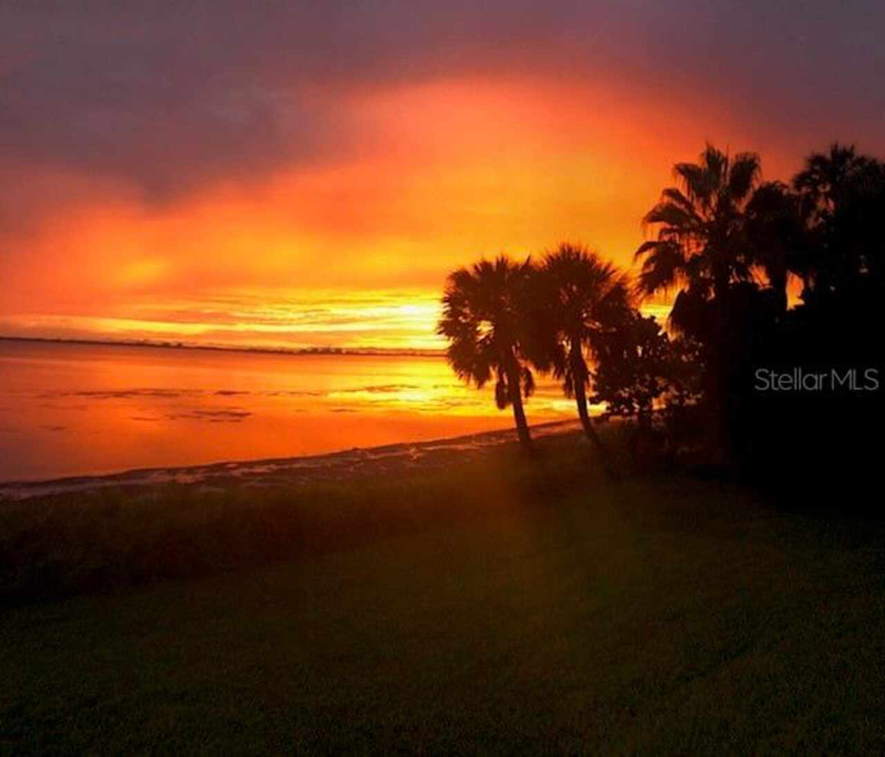 Listing Photo 45