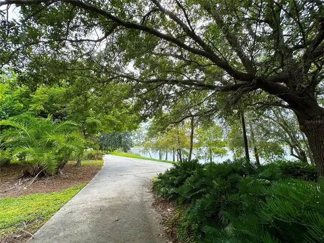 Listing Photo 52