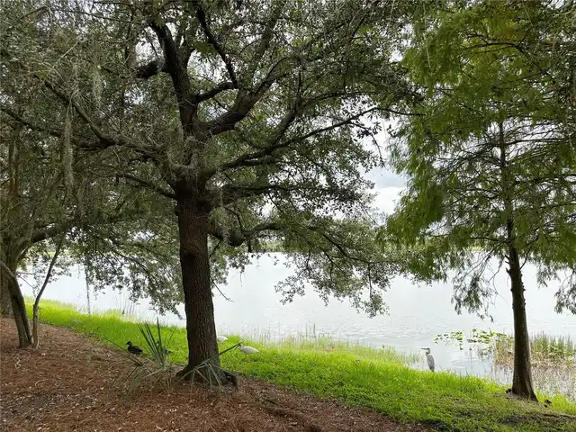Listing Photo 58