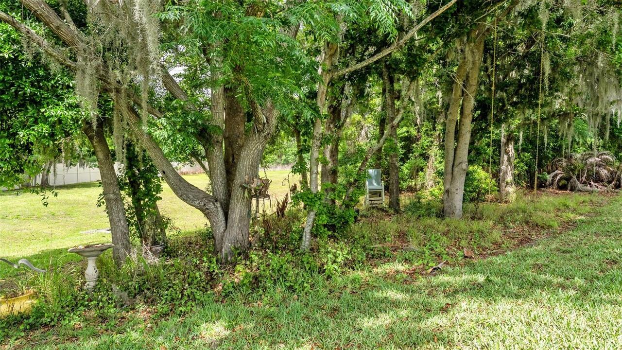 Listing Photo 47