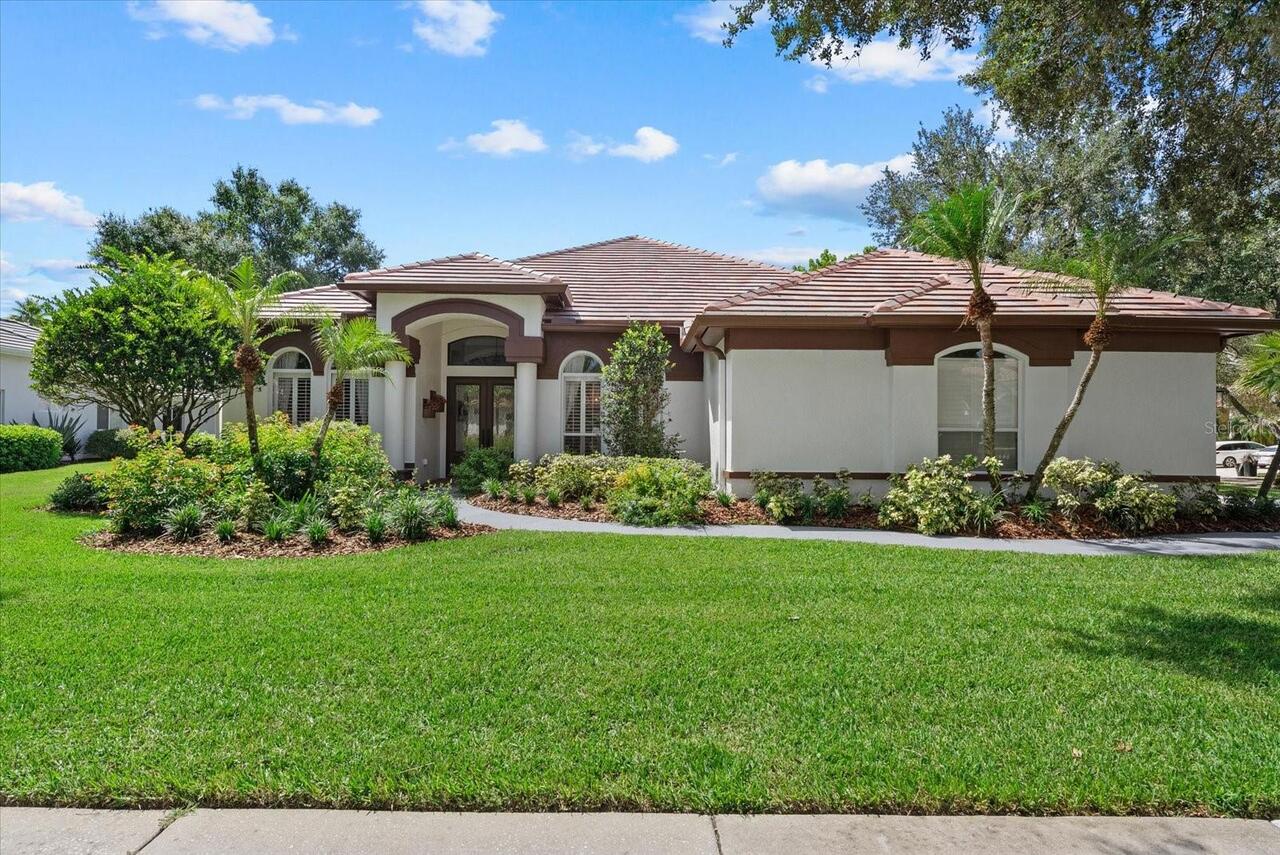 Tampa Real Estate