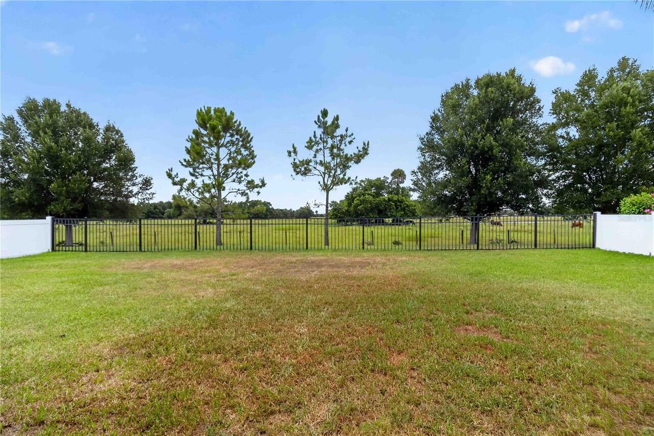 Listing Photo 29