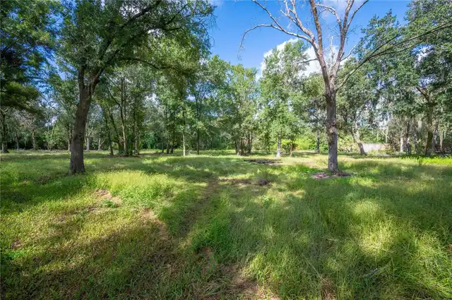 Listing Photo 9