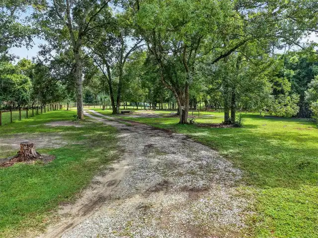 Listing Photo 10