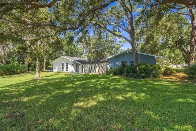Clearwater Real Estate