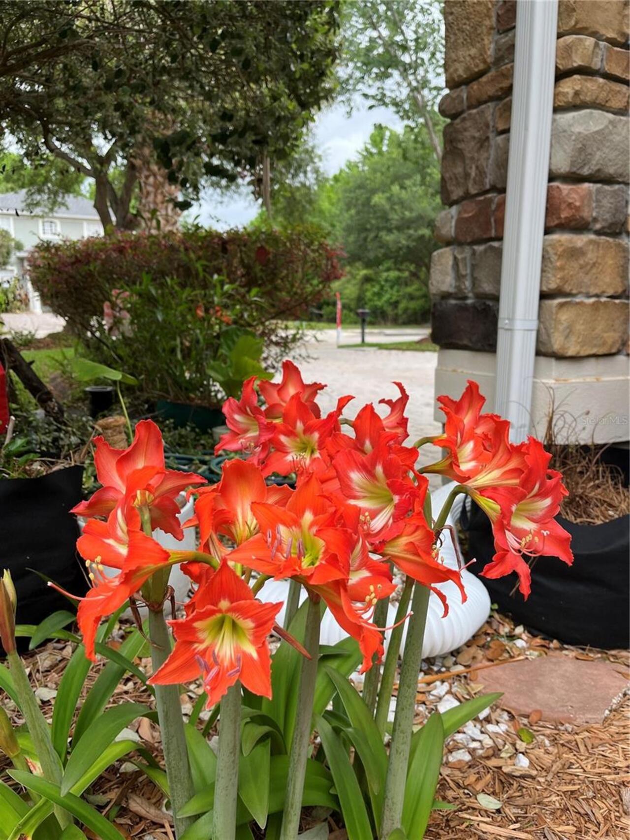 Listing Photo 45