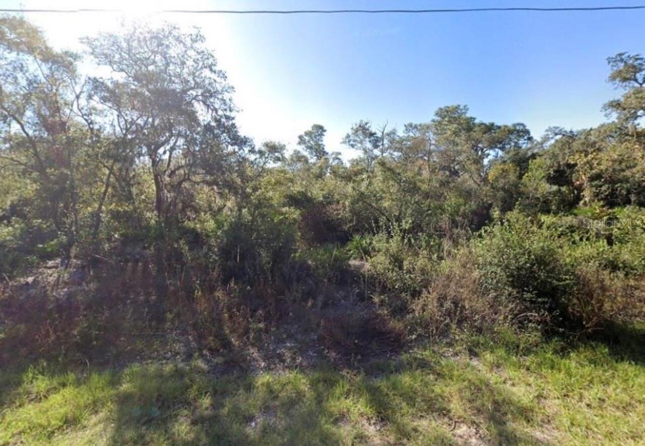 View Listing