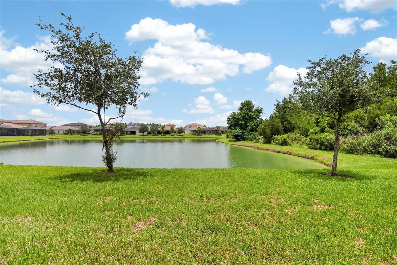 Listing Photo 31