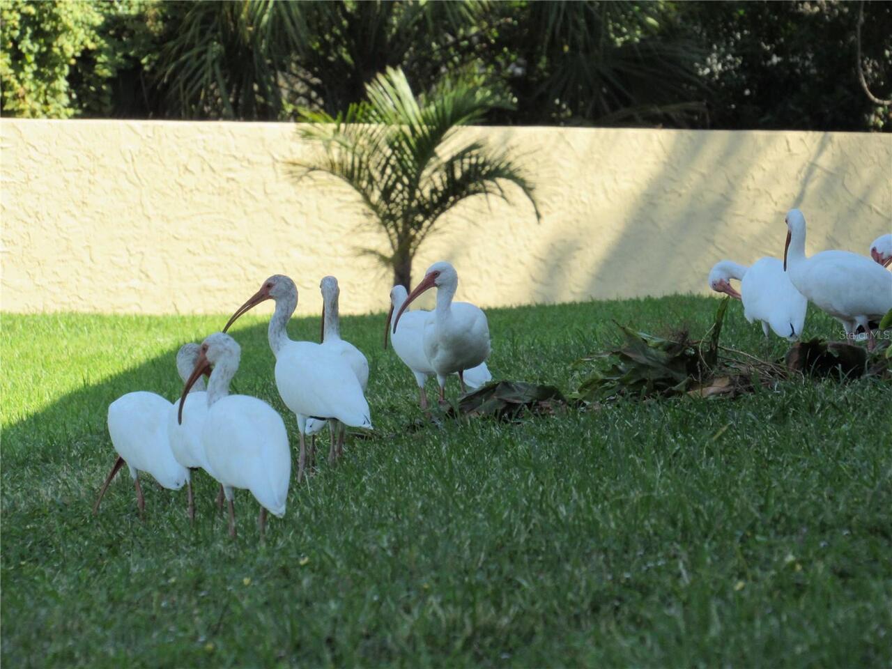 Listing Photo 74