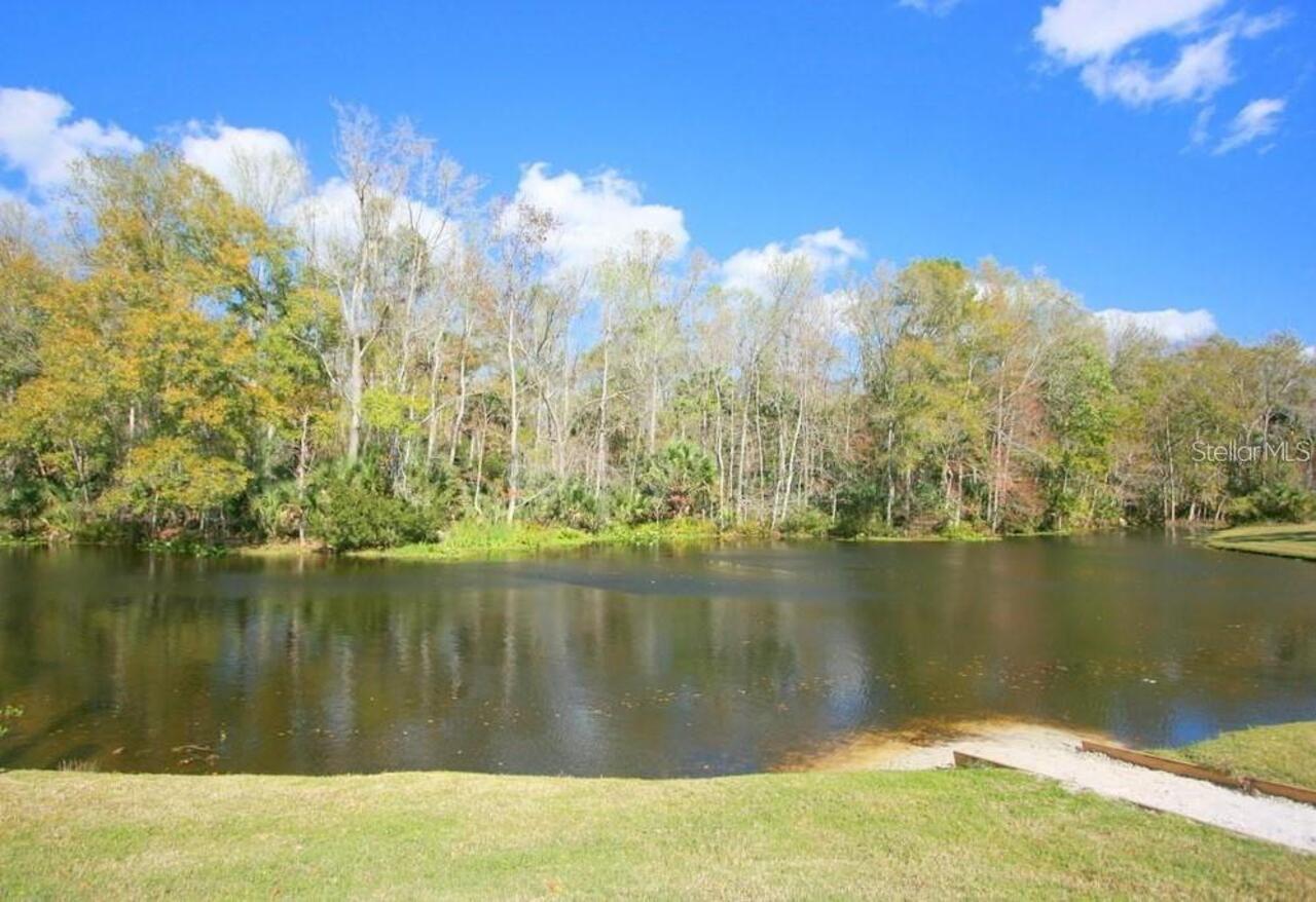 Listing Photo 43