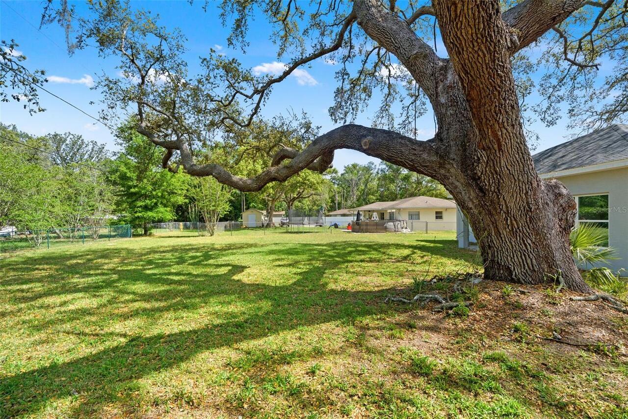 Listing Photo 32