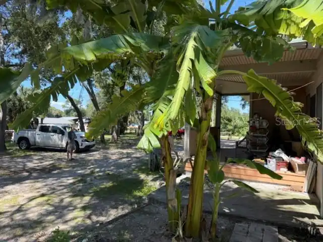Listing Photo 52