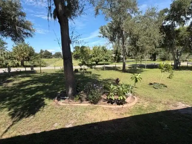 Listing Photo 56