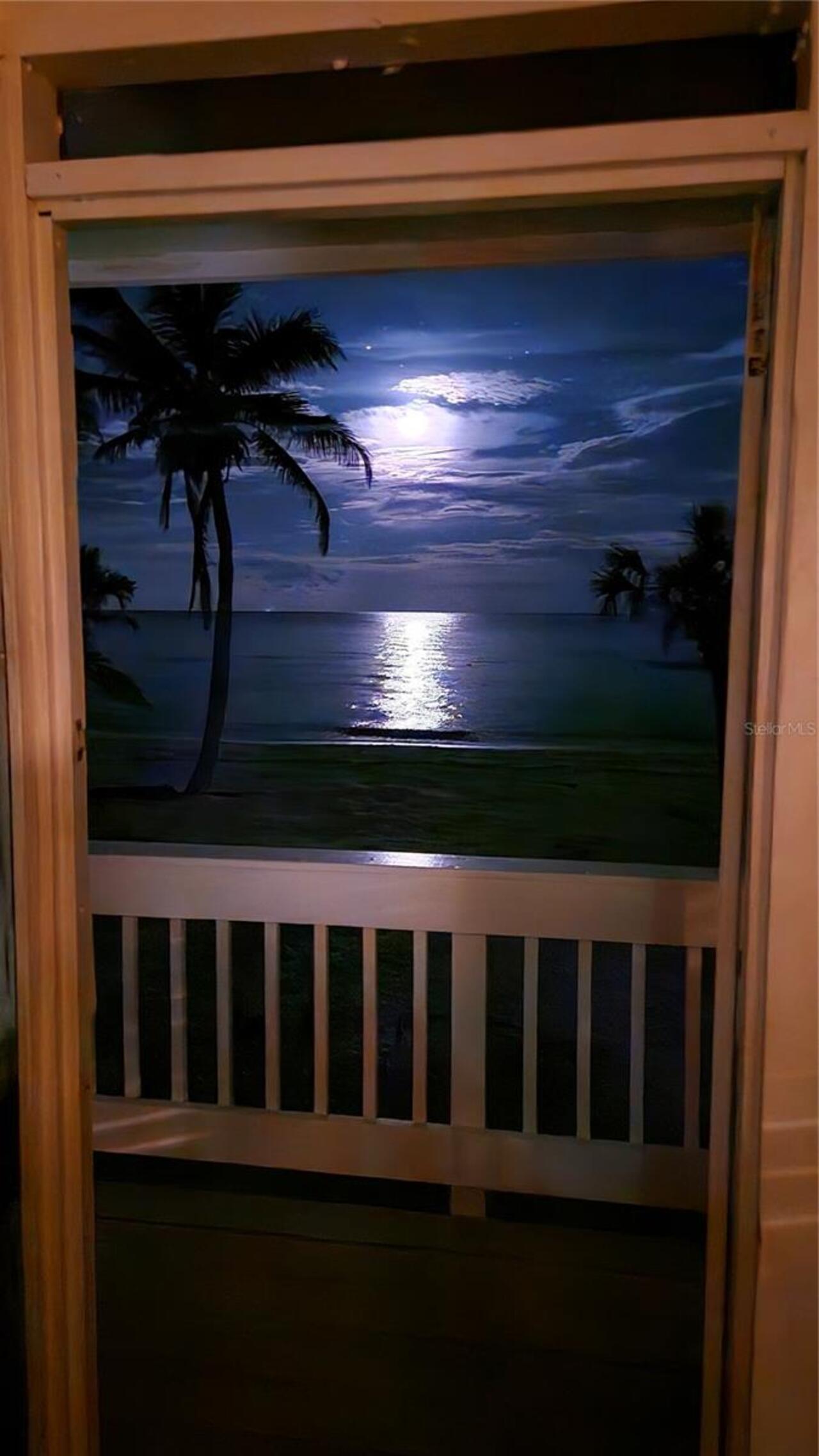 Listing Photo 18