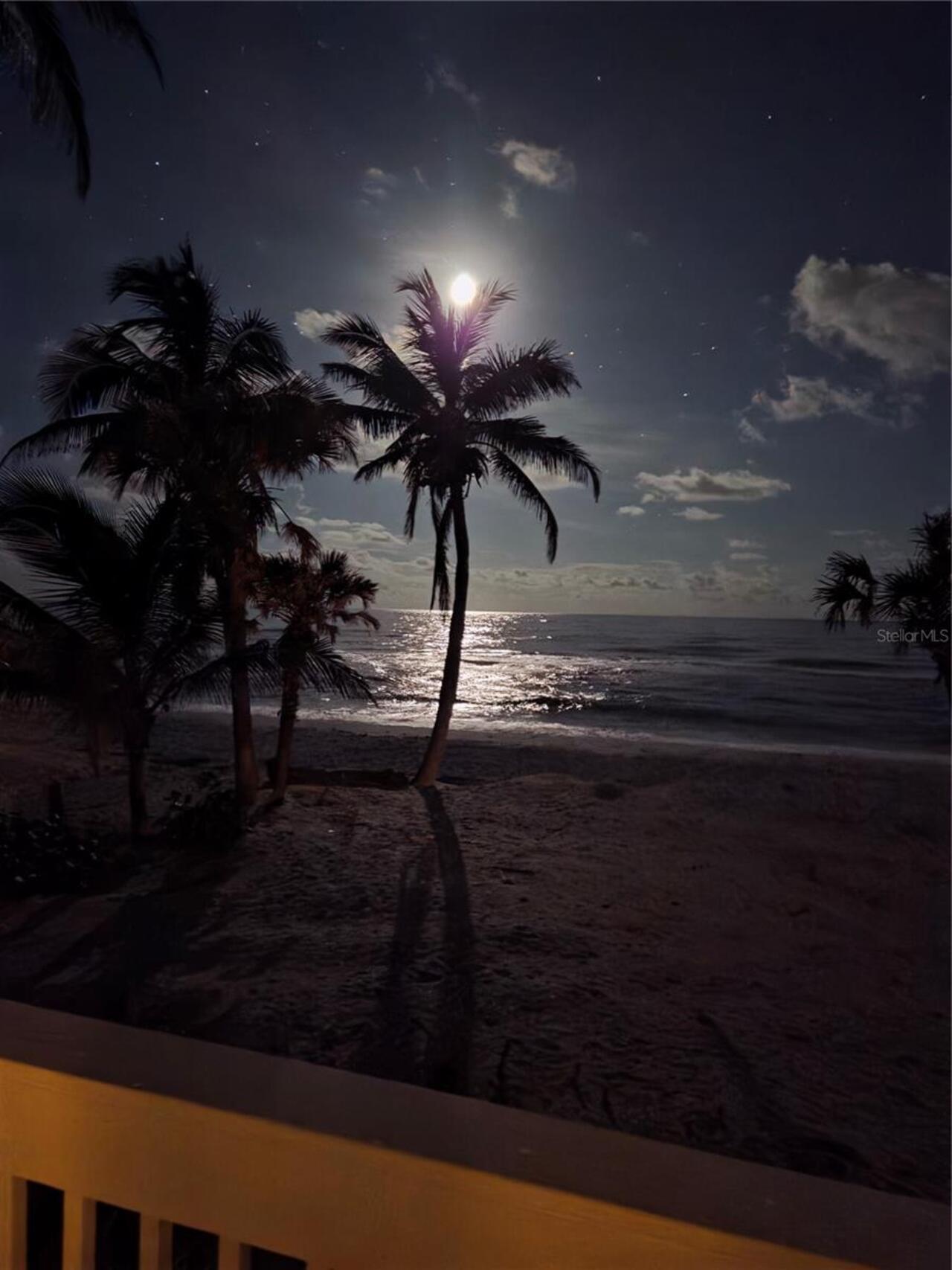 Listing Photo 23