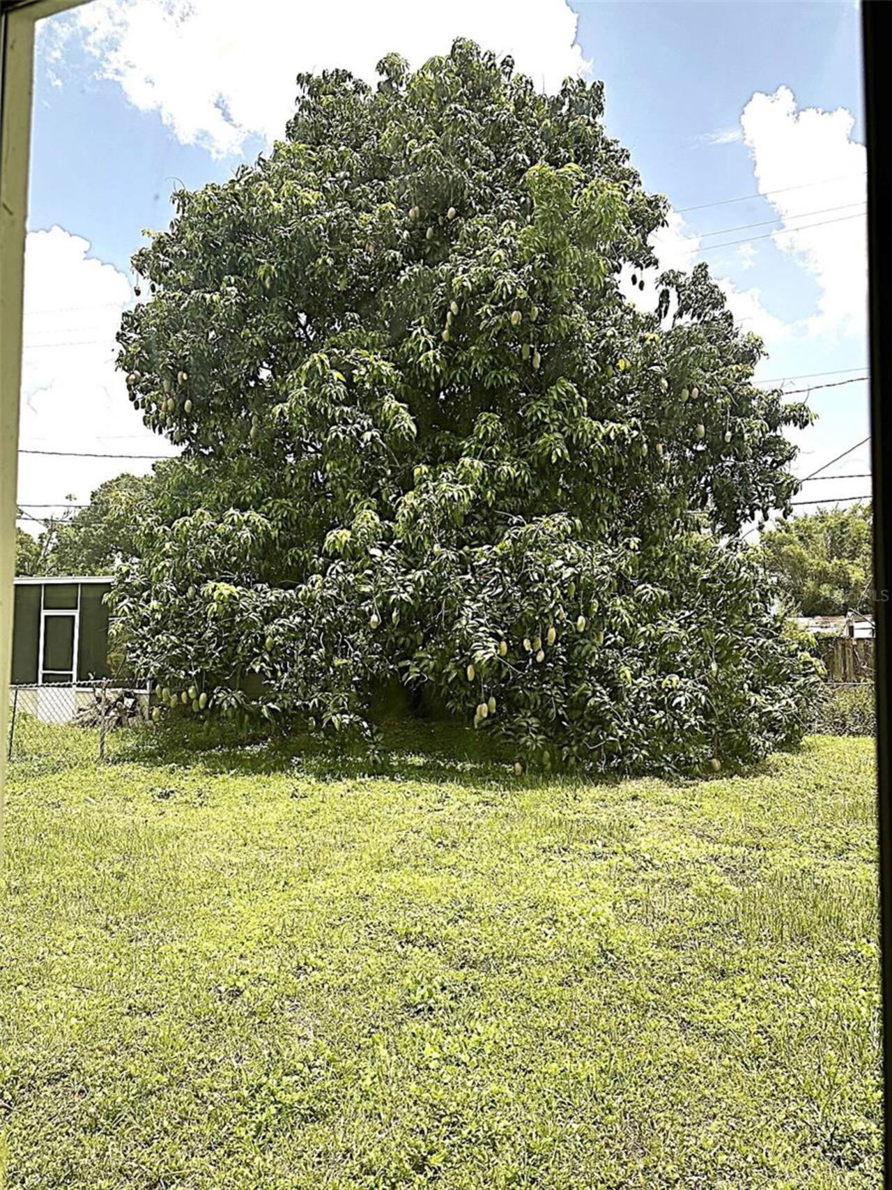 Listing Photo 18