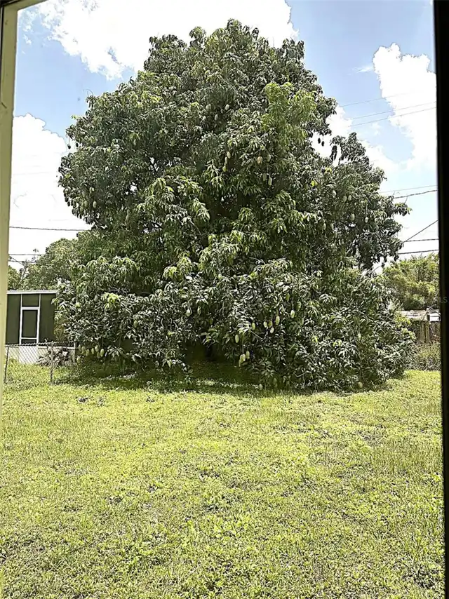 Listing Photo 18