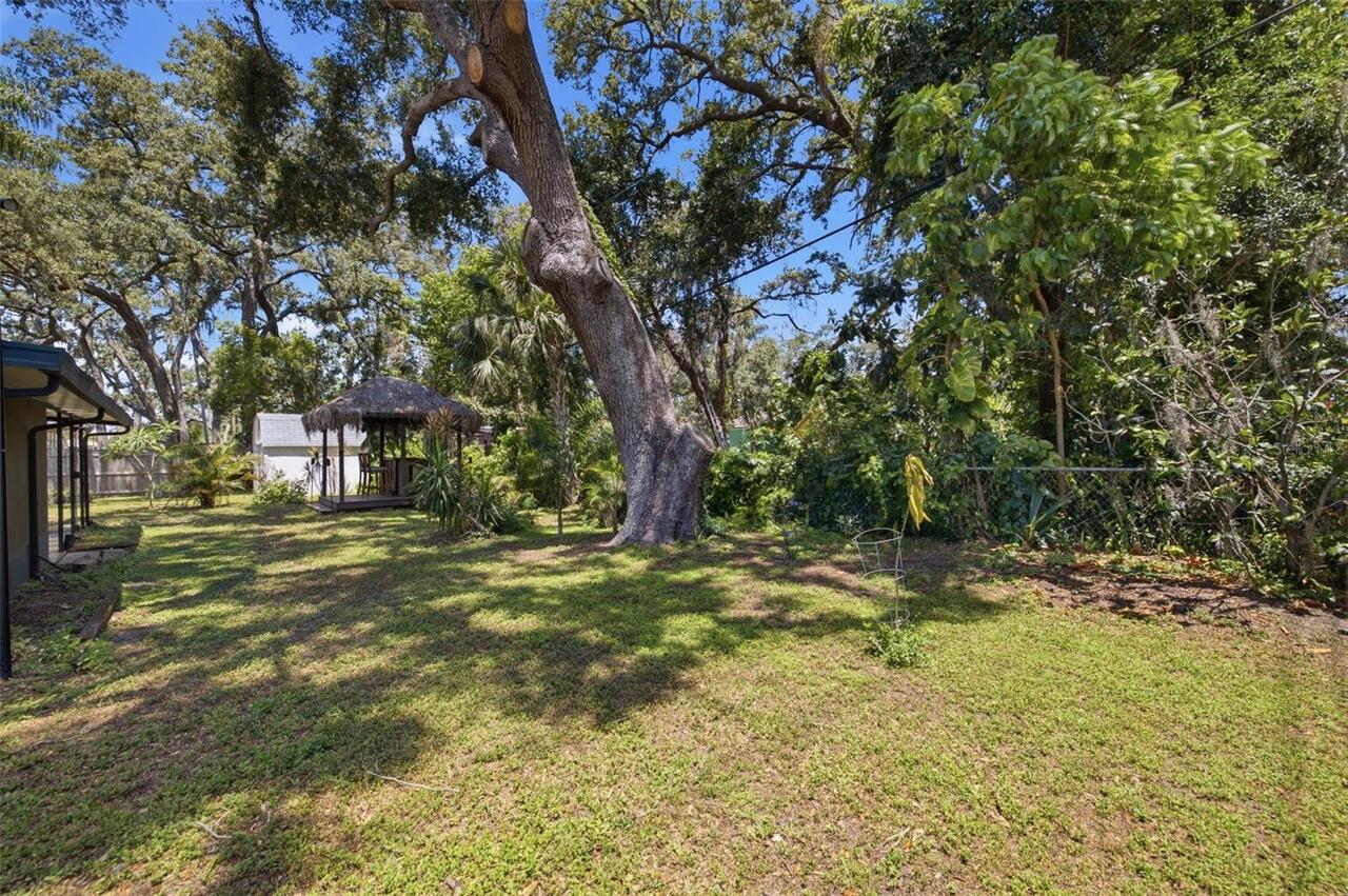 Listing Photo 34