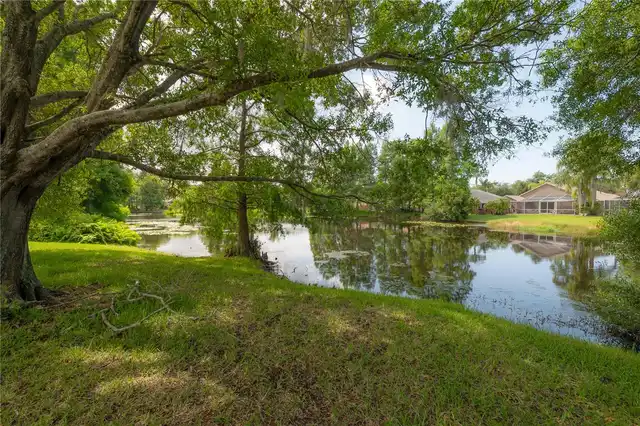Listing Photo 47