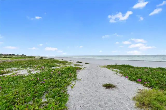 Listing Photo 62