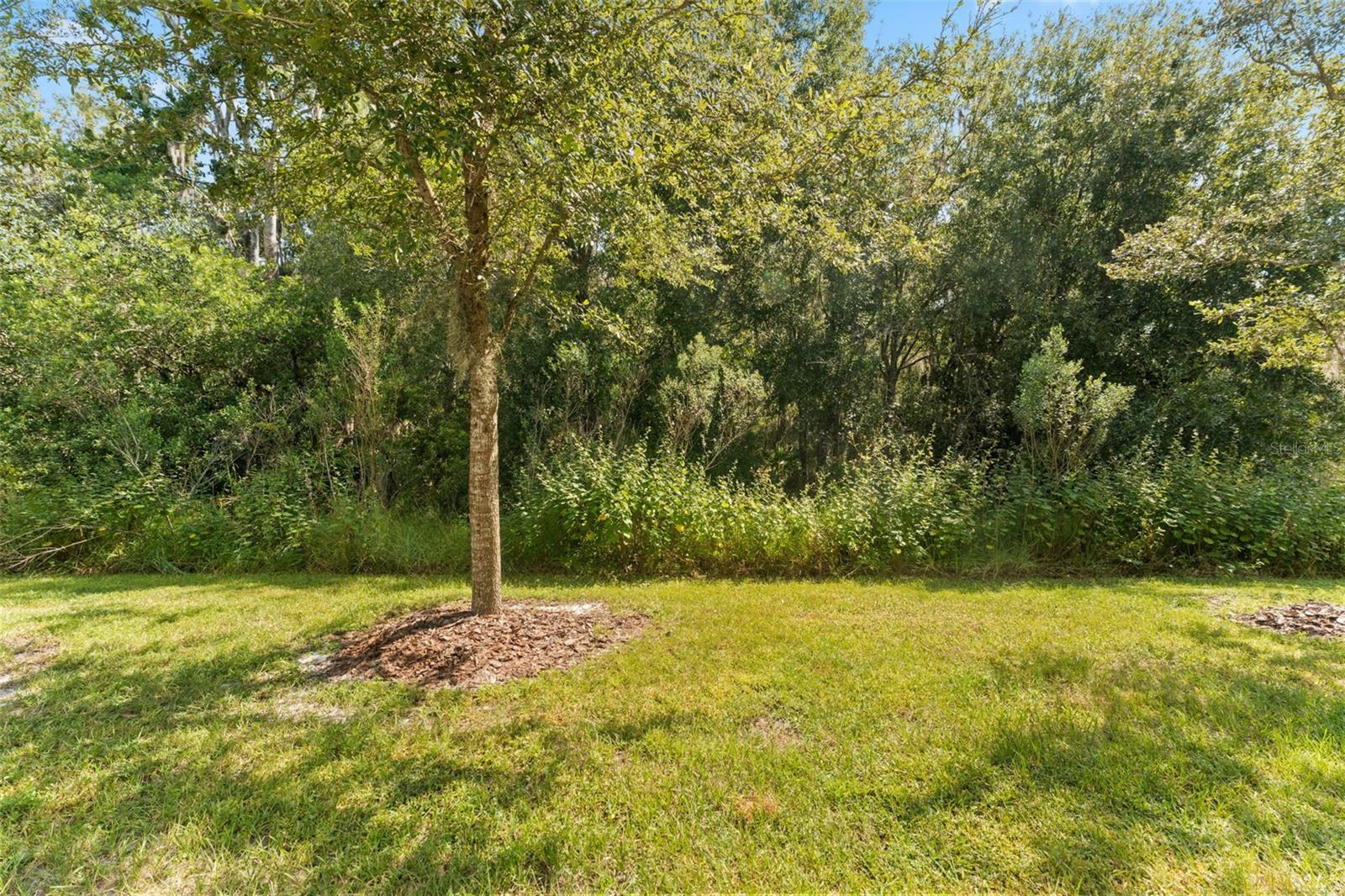 Listing Photo 28