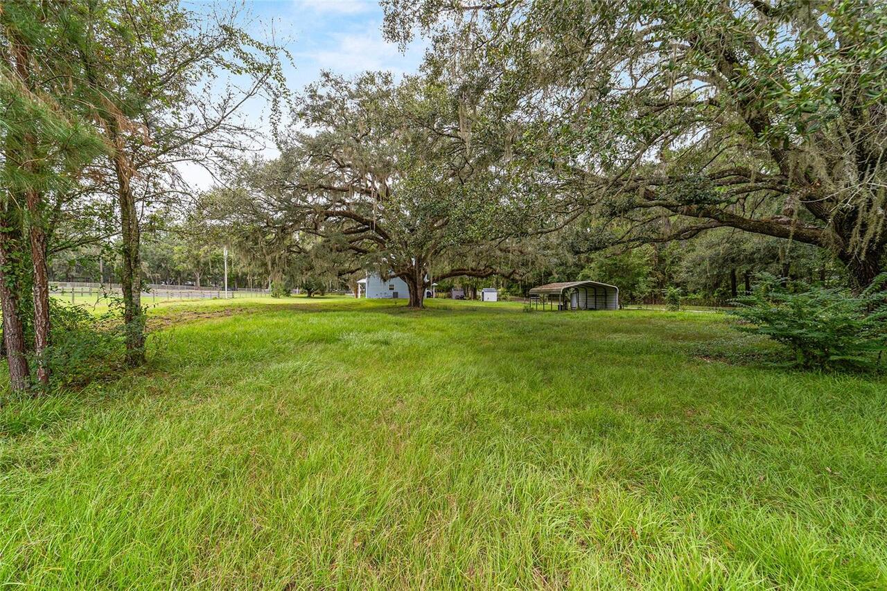 Listing Photo 74
