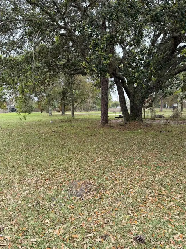 Listing Photo 16