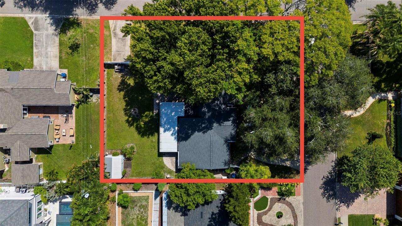 Tampa Real Estate
