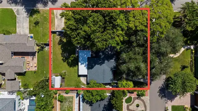 Tampa Real Estate