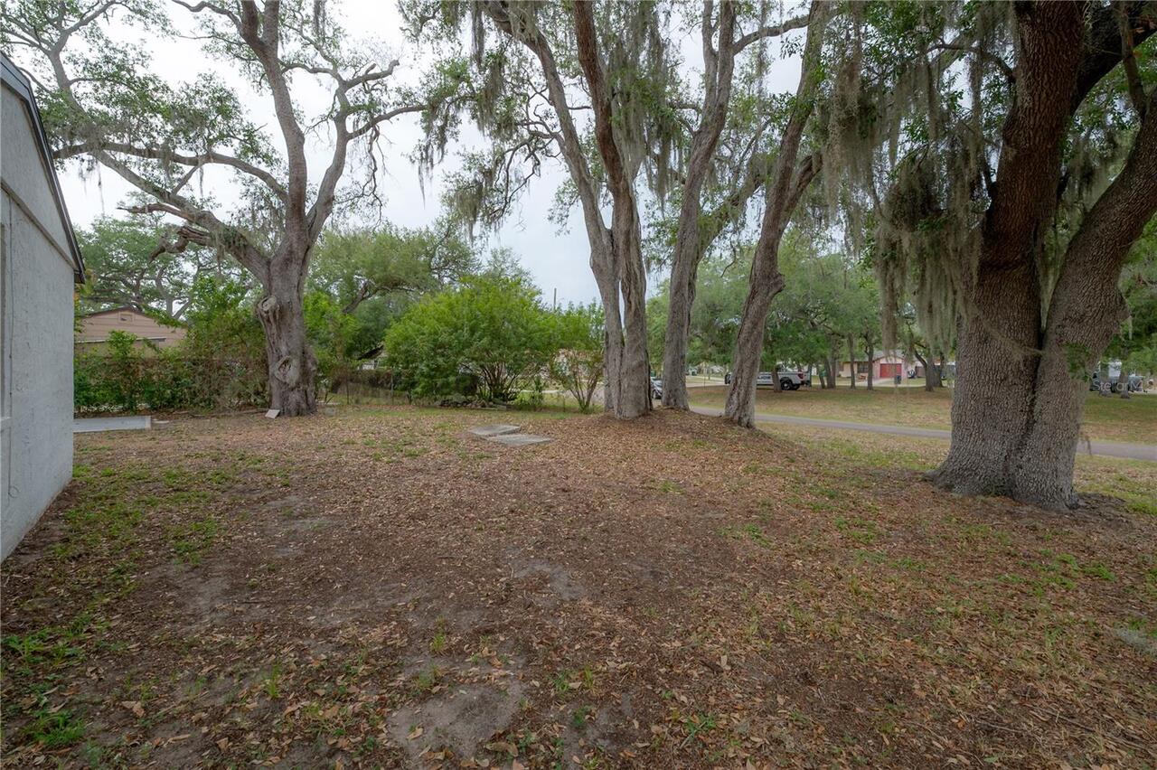 Listing Photo 19